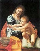 BOLTRAFFIO, Giovanni Antonio The Virgin and Child 1 oil painting on canvas